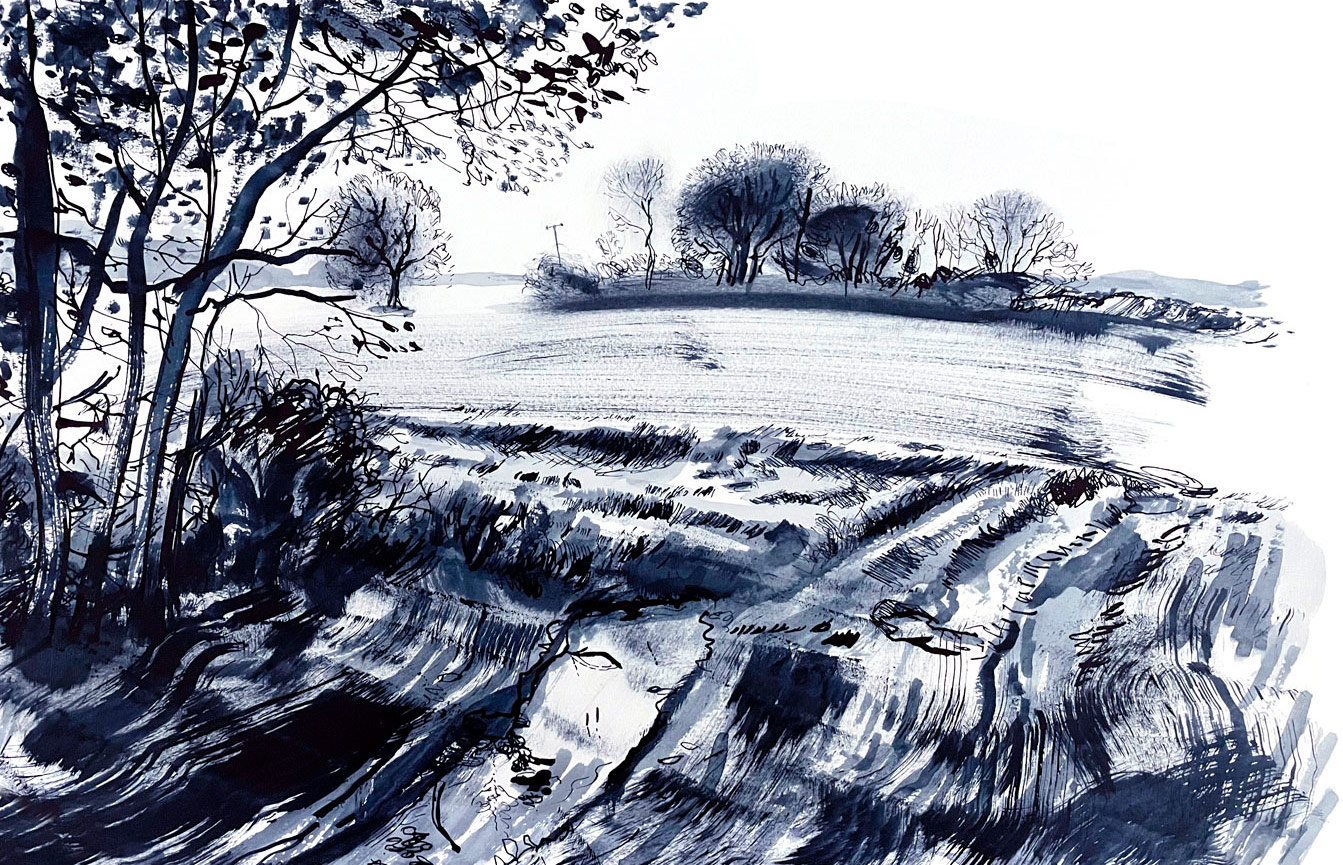 Fields opposite Powderham Church