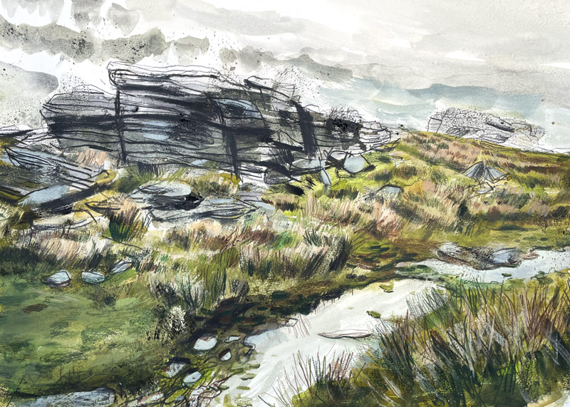 Dartmoor Paintings